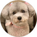 NORI MIZUSHIMA profile picture