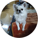 小太郎 profile picture