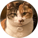 はんすけ profile picture