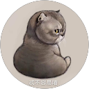 东北大辣皮儿 profile picture