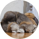 まさよ profile picture