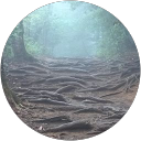 M AR profile picture