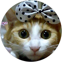 せい profile picture