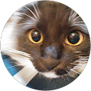 mao profile picture